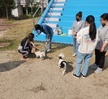 2023.04.03 동물매개치료훈련