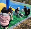 반려동물행동교정학