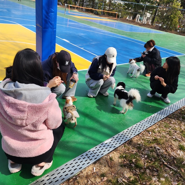 KakaoTalk_20250315_123314622.jpg