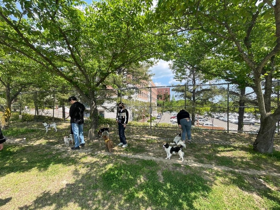 2023.05.01 반려동물행동교정학 (7).jpg