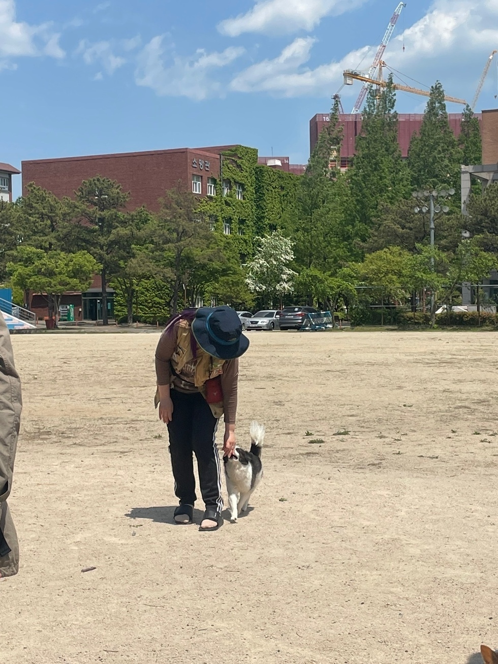 2023.05.01 반려동물행동교정학 (9).jpg