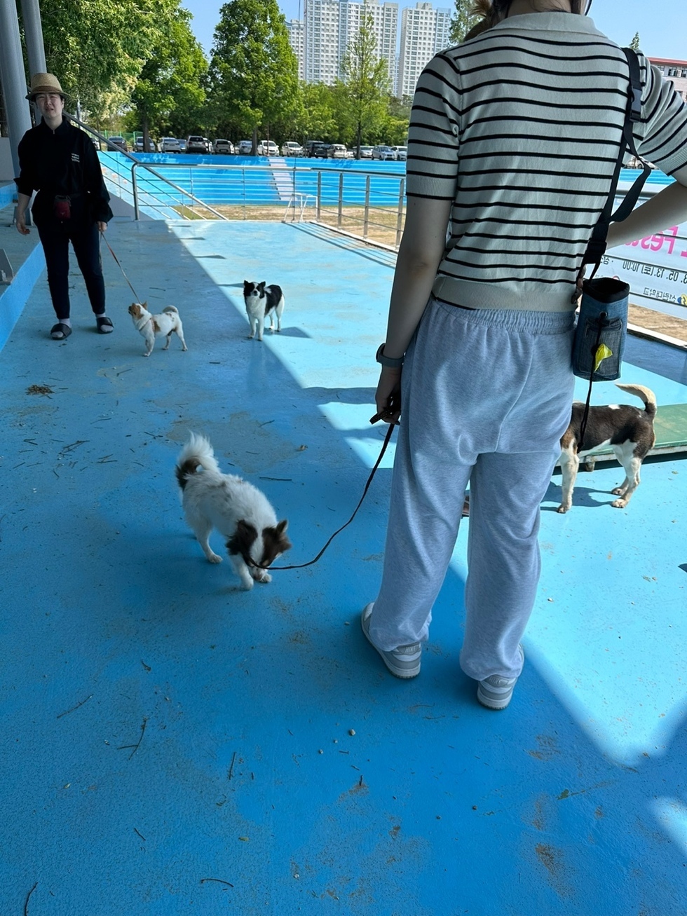 KakaoTalk_20230524_112419824_02.jpg