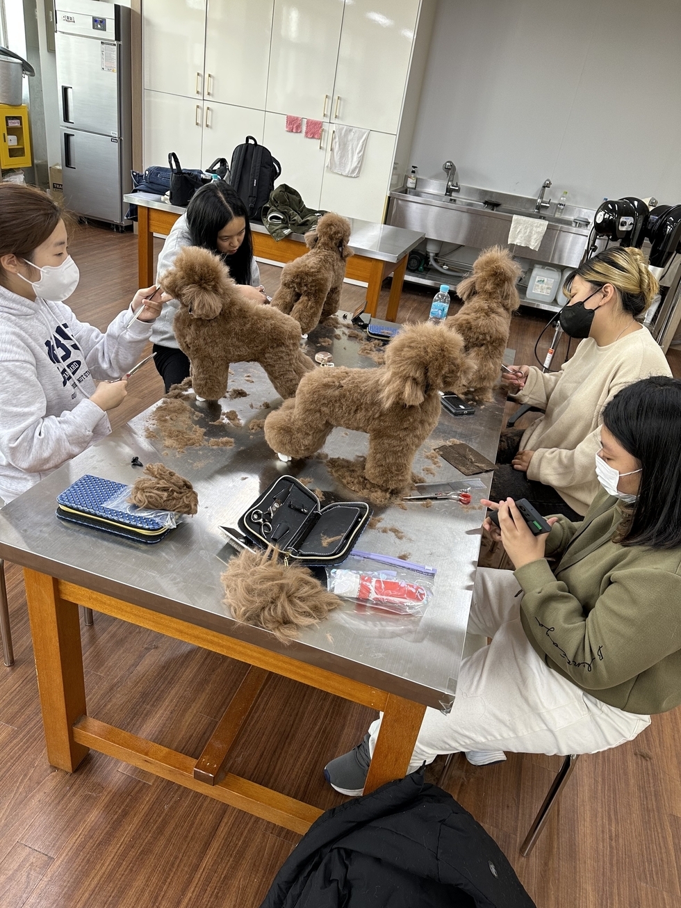 KakaoTalk_20231109_101457410_06.jpg