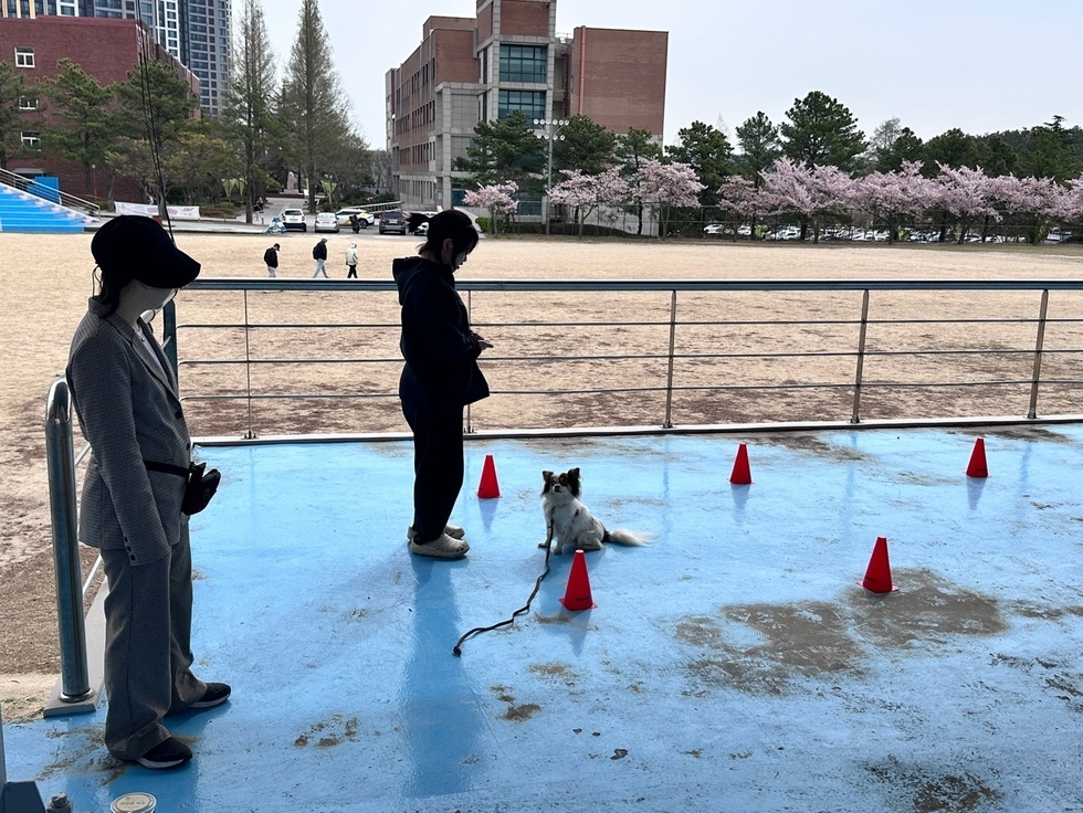 KakaoTalk_20240411_103206397_08.jpg