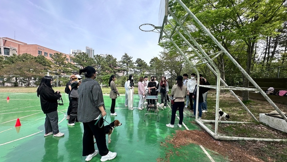 KakaoTalk_20240417_160805931_14.jpg