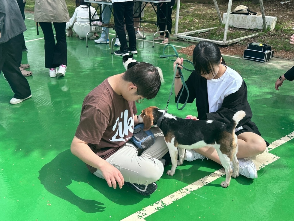 KakaoTalk_20240417_160805931_10.jpg
