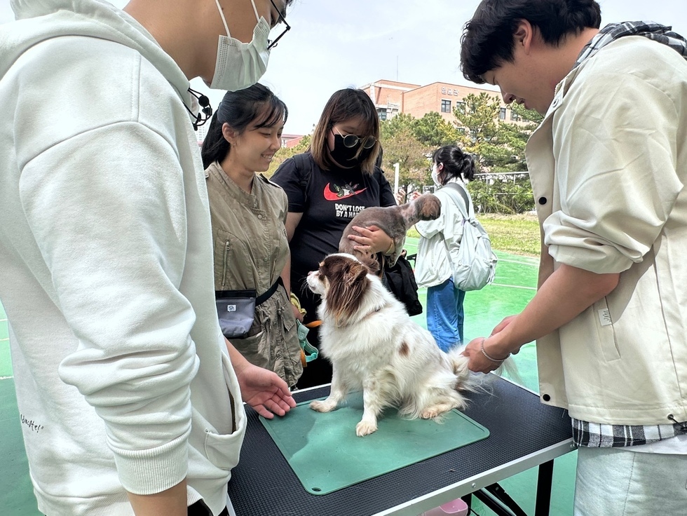 KakaoTalk_20240417_160805931_07.jpg