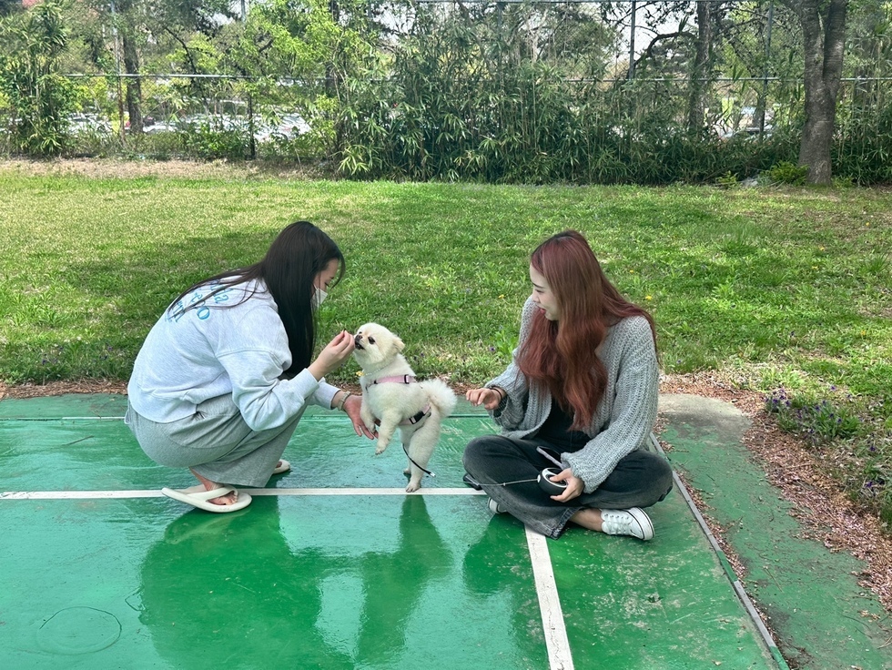 KakaoTalk_20240417_160805931_05.jpg