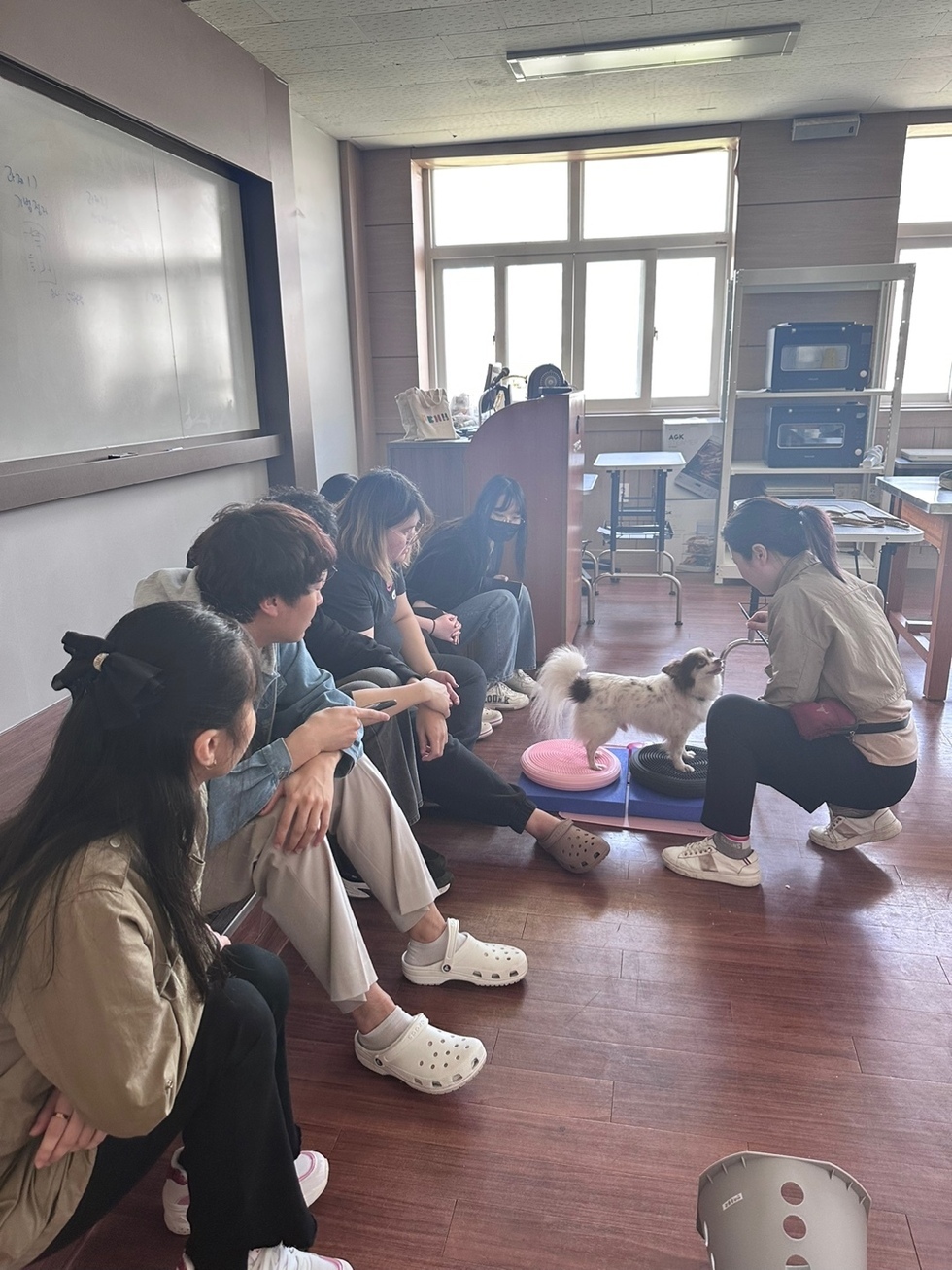 KakaoTalk_20240418_192323212_07.jpg