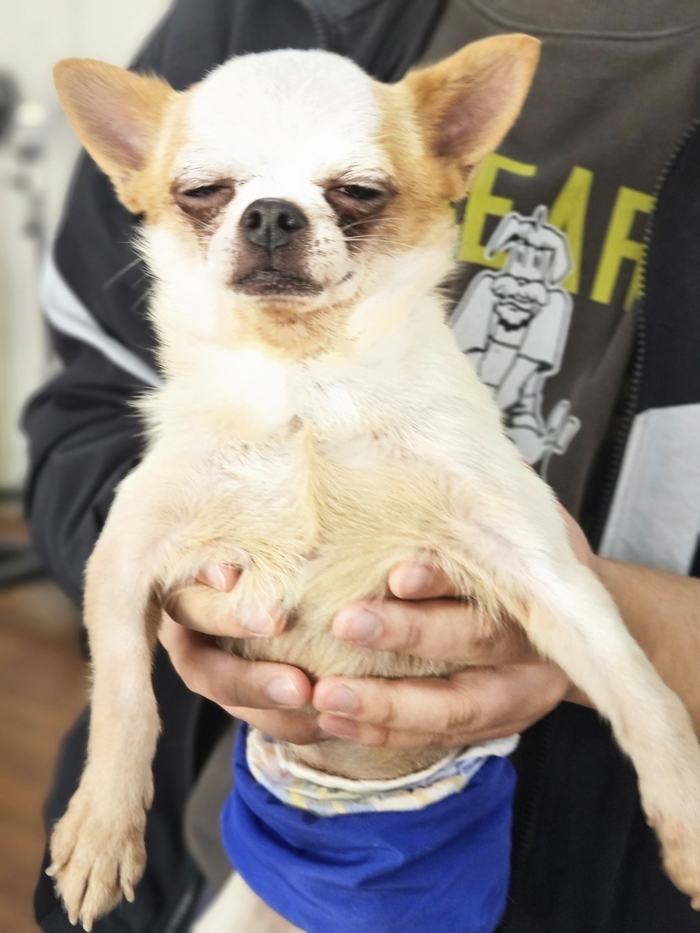 KakaoTalk_20241108_155456567_11.jpg