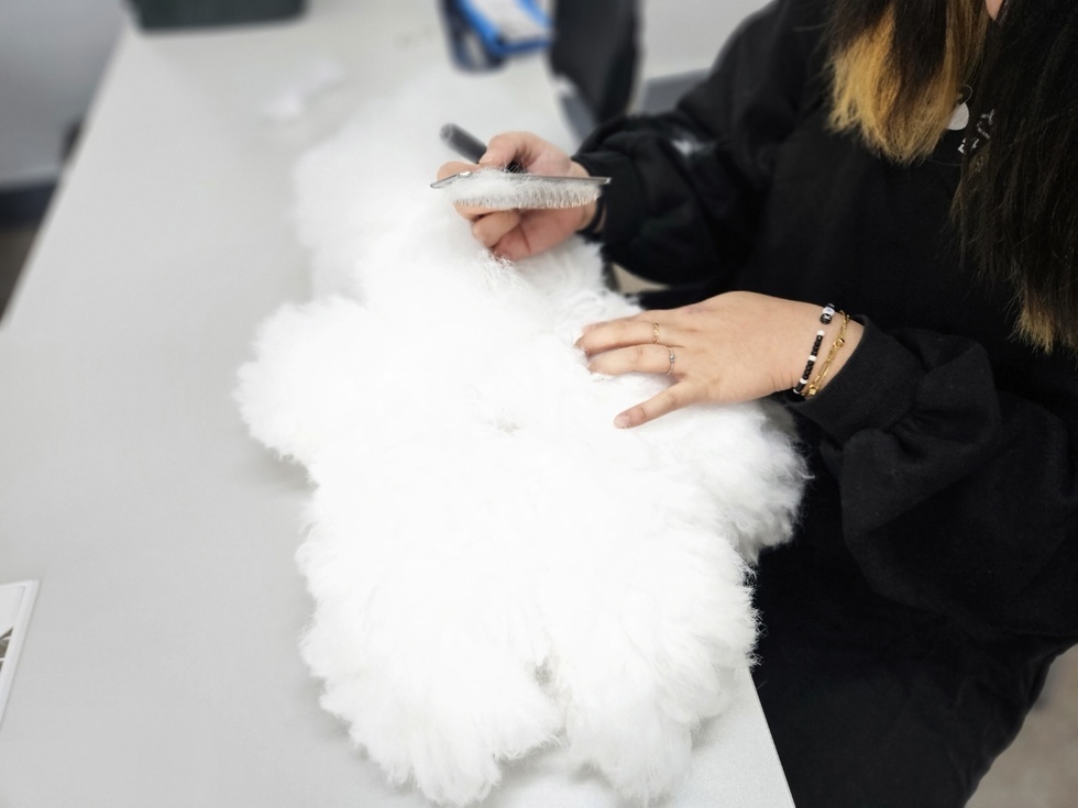 KakaoTalk_20241129_160647877_15.jpg