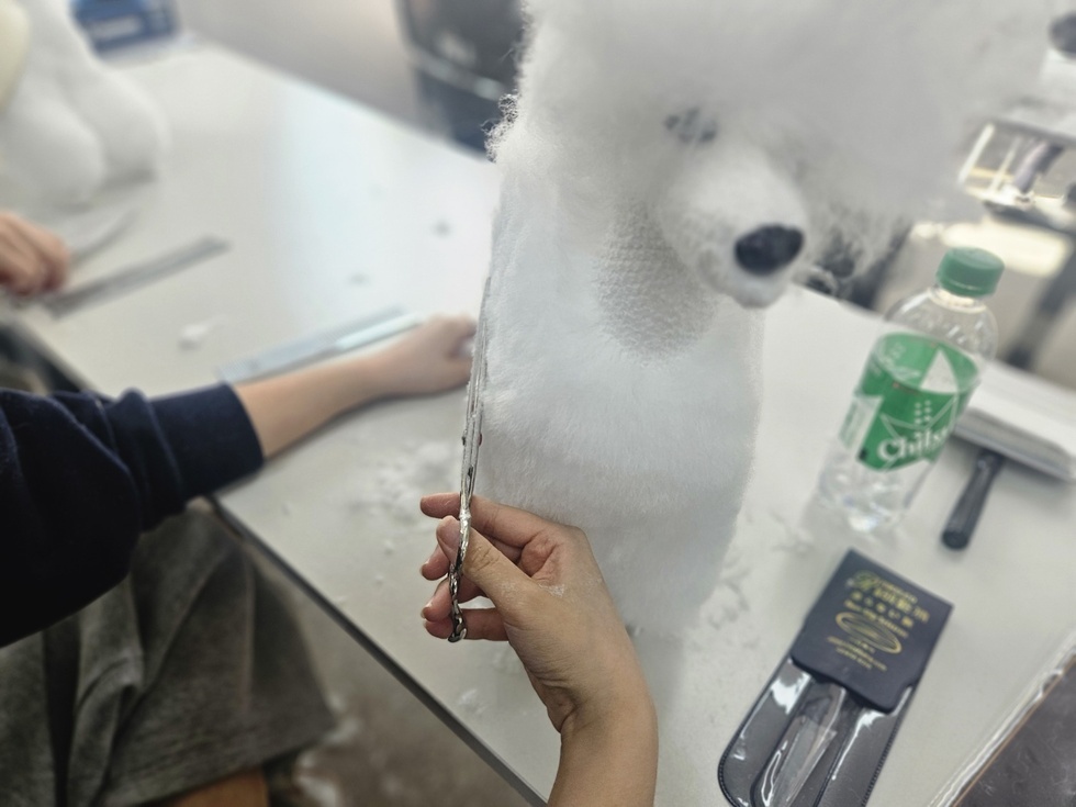 KakaoTalk_20250315_123314622_16.jpg