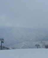 봄 답사 겸 학과 M.T 5