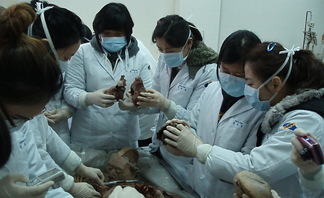 2010 간호과 해외 현장..