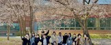 2021학년도 유아교육과 선린의 봄